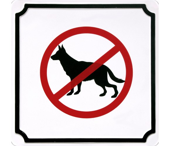 Šunims draudžiama